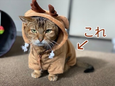 俊24