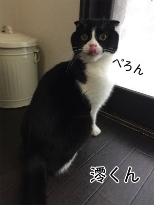 澪47
