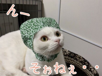 ひめ160