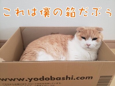 凌82
