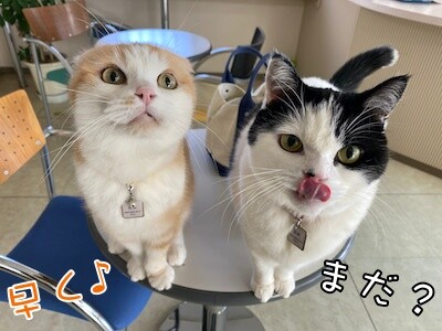 珠若133