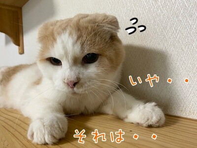 竜9
