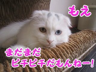 もえ (92)