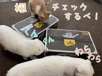 みんな1422