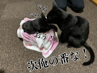 みんな1364