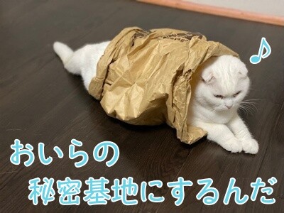 殿1008