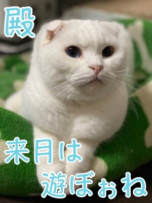 殿887