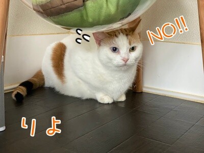 りよ351