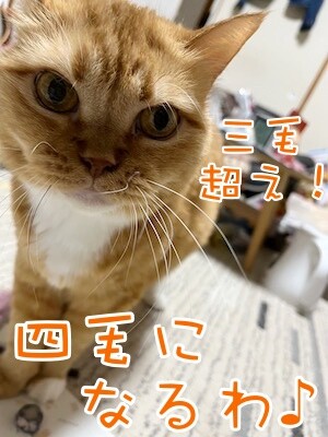 きなこ67