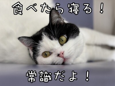珠若592