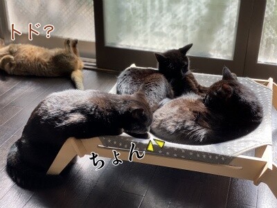 みんな1683