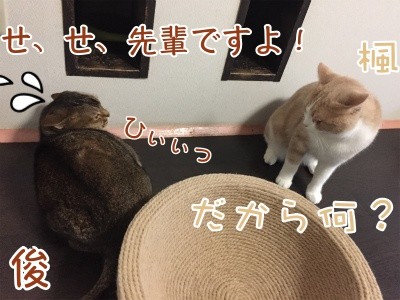 みんな666