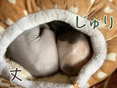 みんな2537