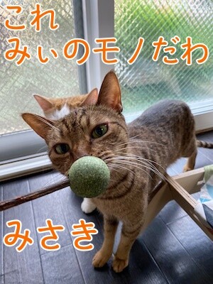 その他49
