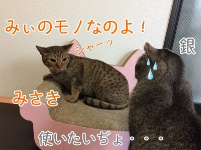 みんな608
