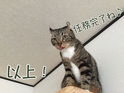 かな202