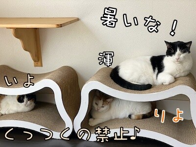 みんな828