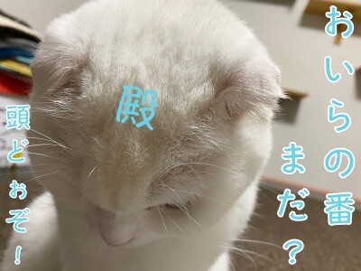 殿766