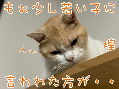 煌327