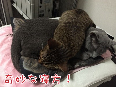 みんな370