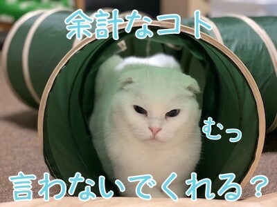 殿47