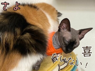みんな932