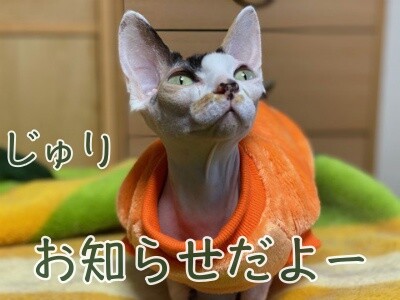 じゅり130