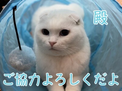 殿731