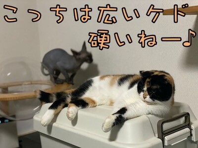 そよ15