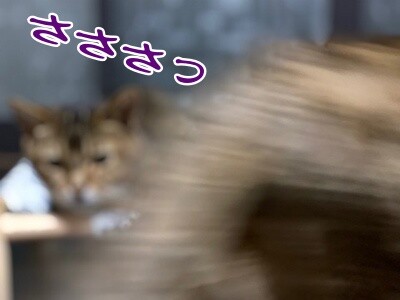 みんな2163