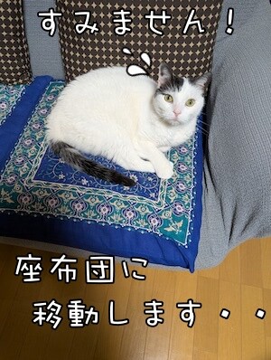 ココナッツ193