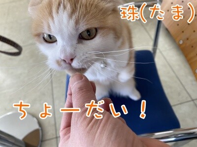 珠若553