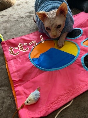 士158