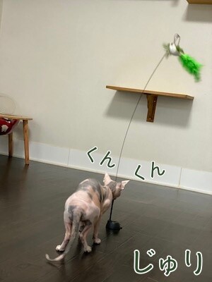 じゅり33