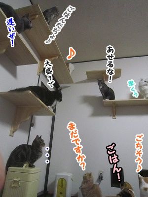 みんな (13)