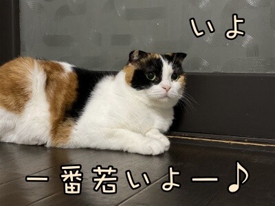 いよ314