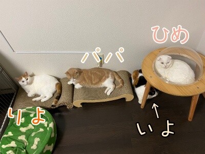みんな2684