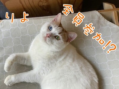 りよ76