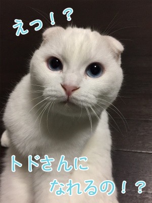 殿28