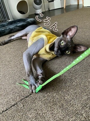 喜93