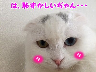 もえ (18)
