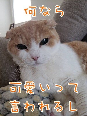 凌85