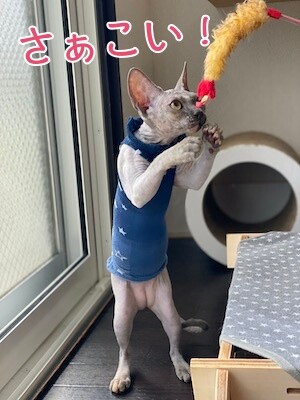 喜28