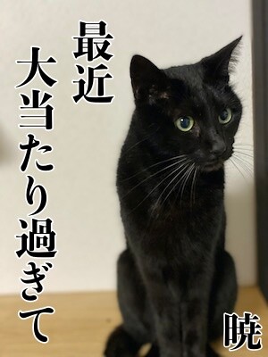 暁1