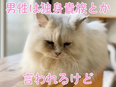 らん24