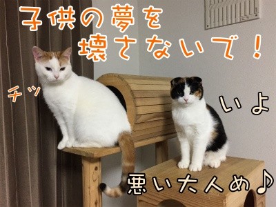 りよ20
