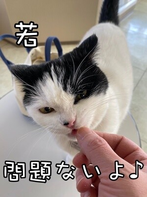 珠若132