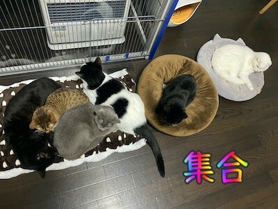 みんな1027