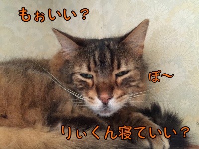 力7