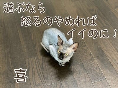 喜43